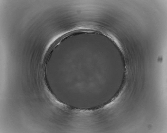 X0000091930779200709051500
