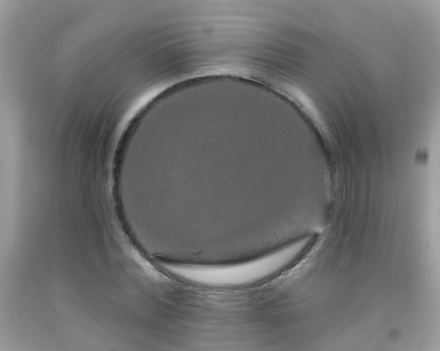 X0000091930780200709051500