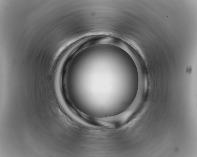 X0000091930781200709051500