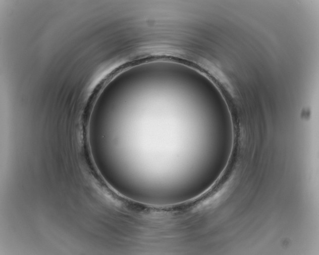 X0000091930782200709051500