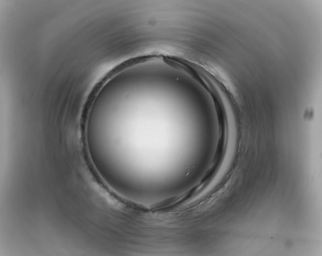 X0000091930784200709051500