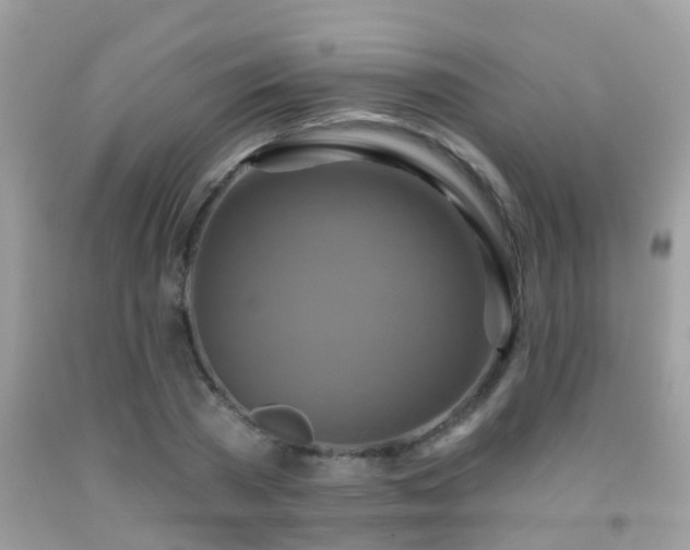 X0000091930785200709051500