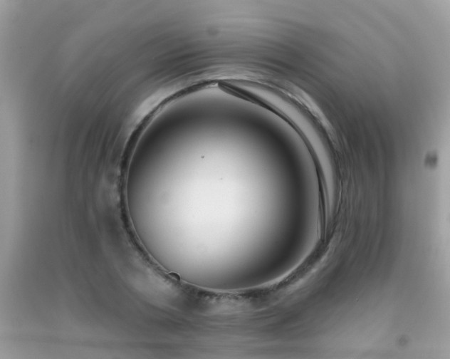 X0000091930786200709051500