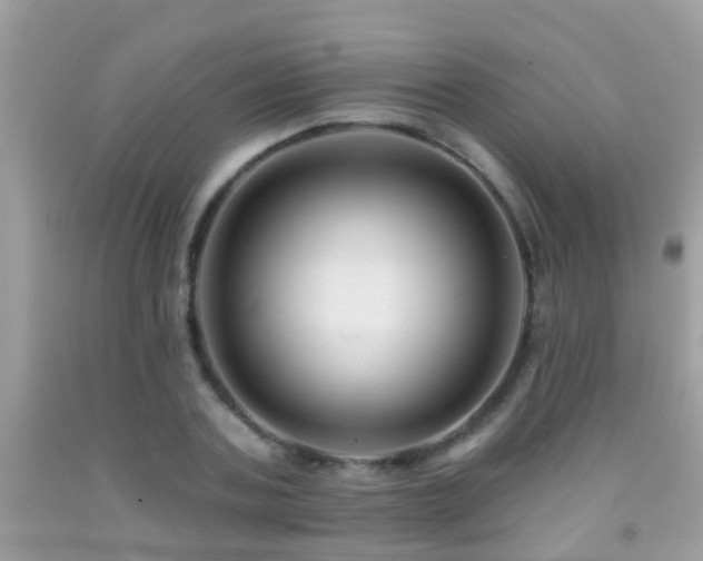 X0000091930787200709051500