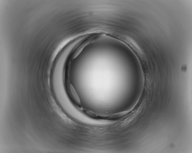 X0000091930788200709051500