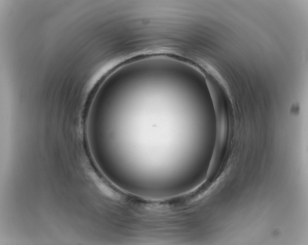 X0000091930789200709051500