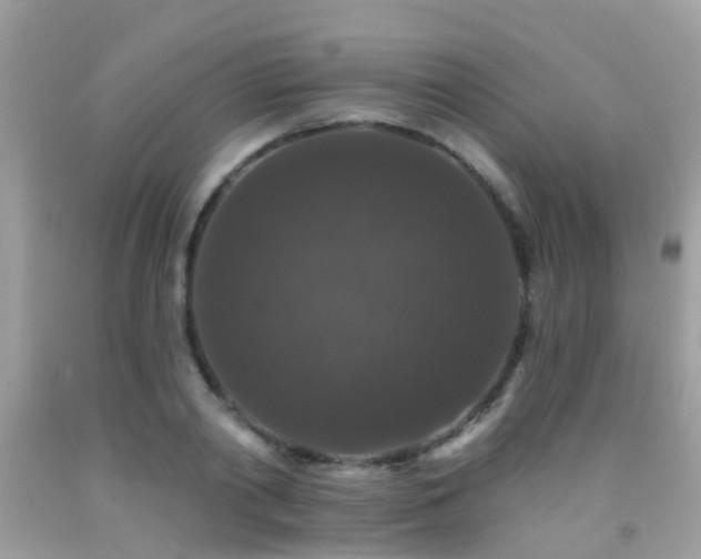 X0000091930790200709051500