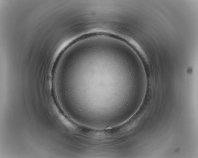 X0000091930791200709051500