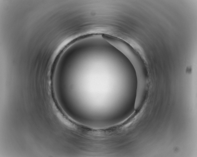 X0000091930792200709051500