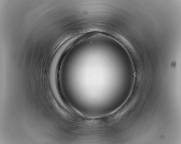 X0000091930793200709051500