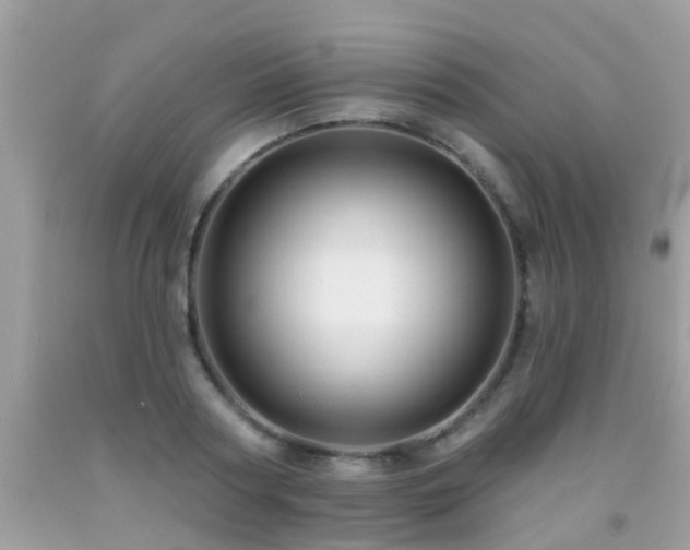 X0000091930794200709051500