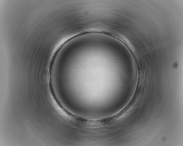 X0000091930795200709051500