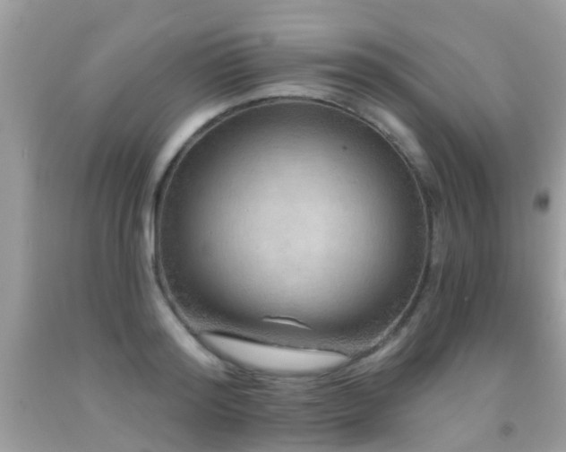 X0000091930796200709051500