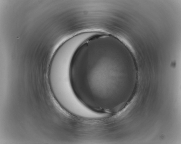 X0000091930797200709051500