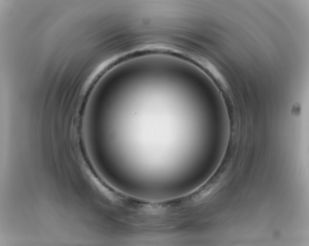 X0000091930799200709051500