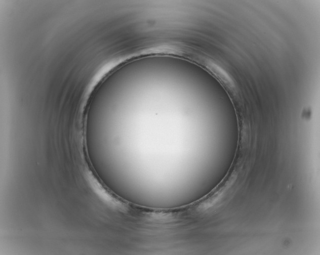 X0000091930800200709051500