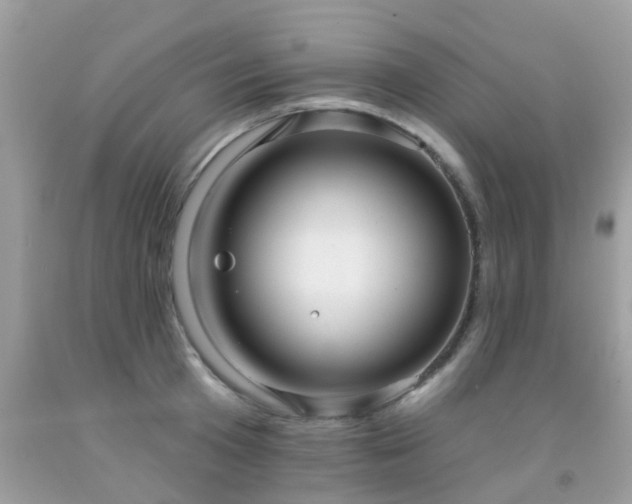 X0000091930801200709051500