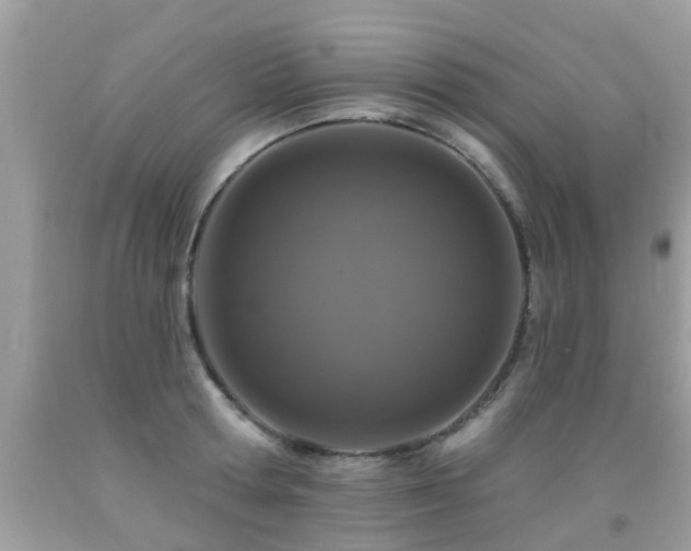X0000091930802200709051500