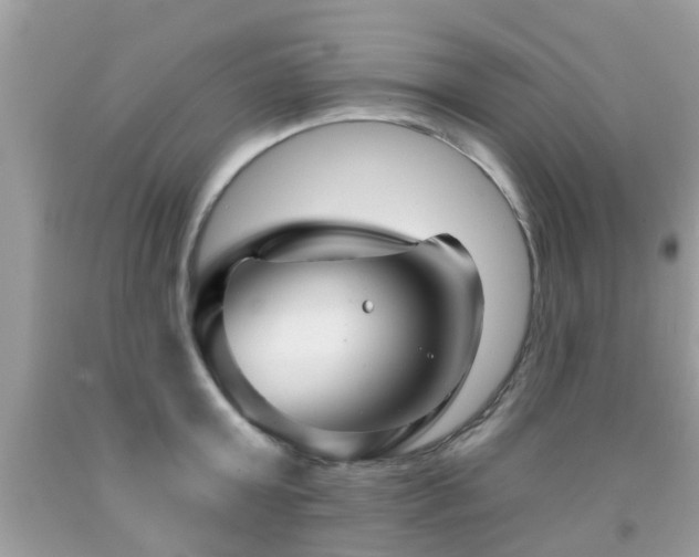 X0000091930803200709051500