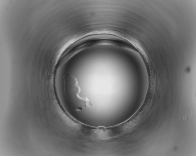 X0000091930805200709051500