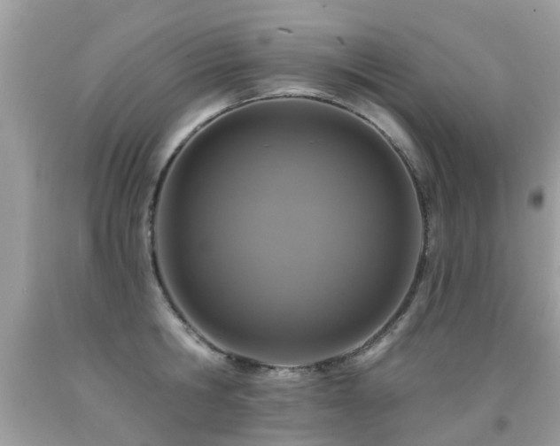 X0000091930806200709051500