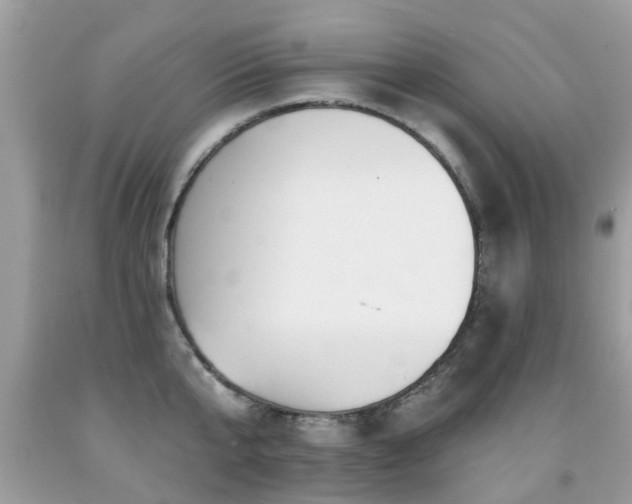 X0000091930807200709051500