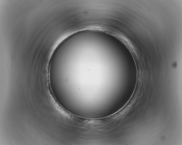 X0000091930808200709051500