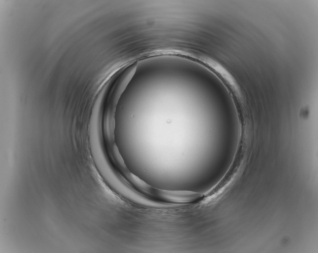 X0000091930809200709051500