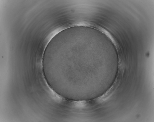 X0000091930810200709051500