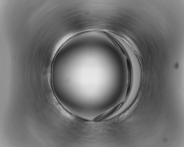 X0000091930812200709051500