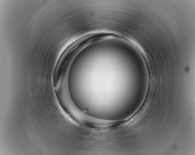 X0000091930813200709051500