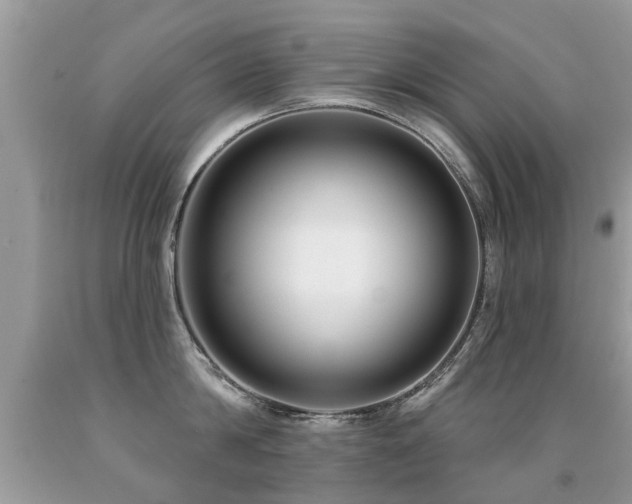 X0000091930814200709051500