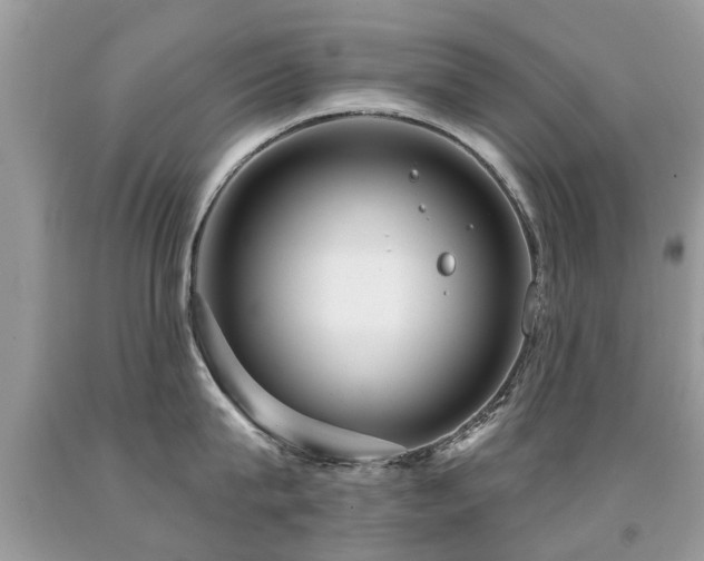 X0000091930815200709051500