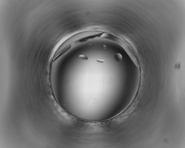 X0000091930816200709051500