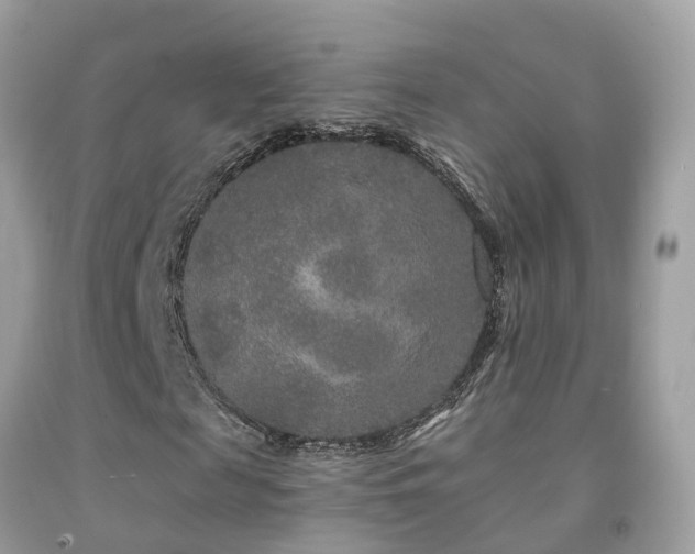 X0000091930817200709051459
