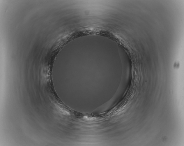 X0000091930818200709051459