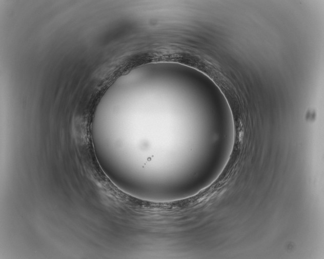 X0000091930819200709051459