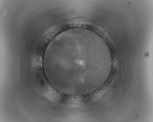 X0000091930820200709051459