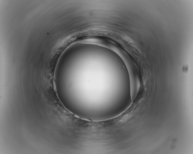 X0000091930822200709051459
