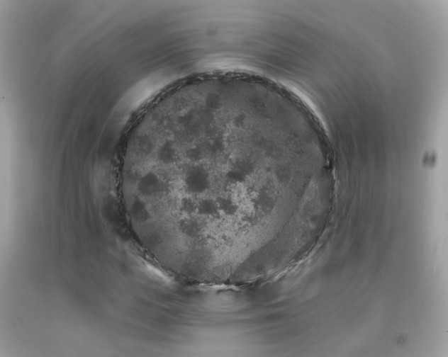 X0000091930823200709051459