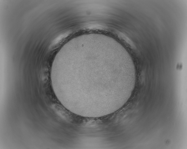 X0000091930824200709051459