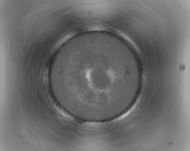 X0000091930825200709051500