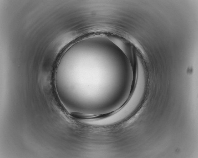 X0000091930826200709051500
