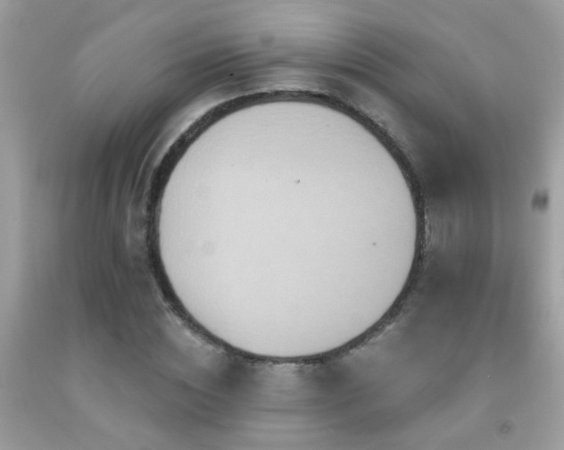 X0000091930828200709051500