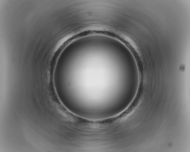 X0000091930829200709051500