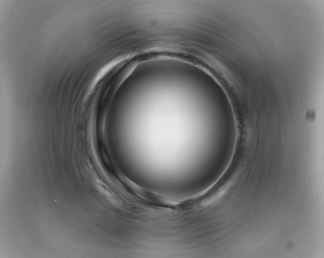 X0000091930830200709051500