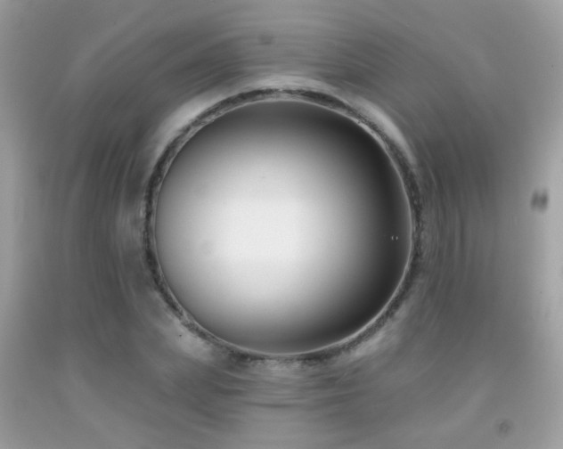 X0000091930831200709051500