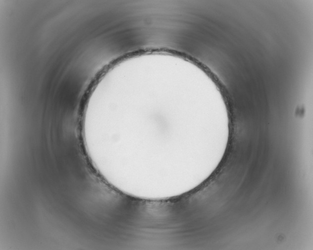X0000091930832200709051500