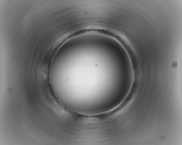 X0000091930833200709051500