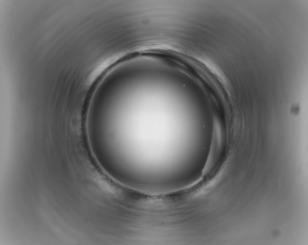 X0000091930834200709051500